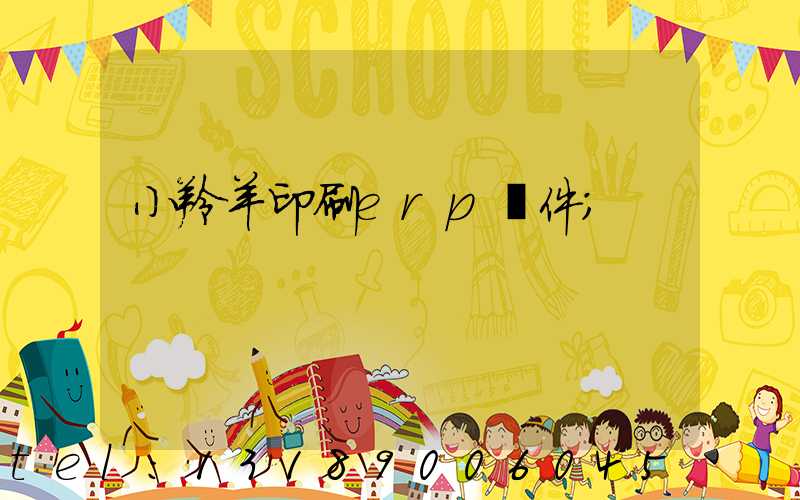 小羚羊印刷erp軟件